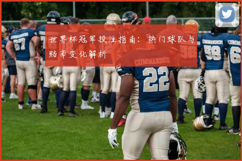 世界杯冠军投注指南：热门球队与赔率变化解析