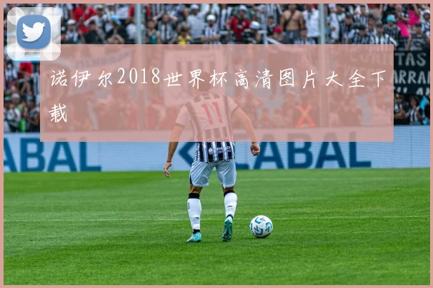 诺伊尔2018世界杯高清图片大全下载