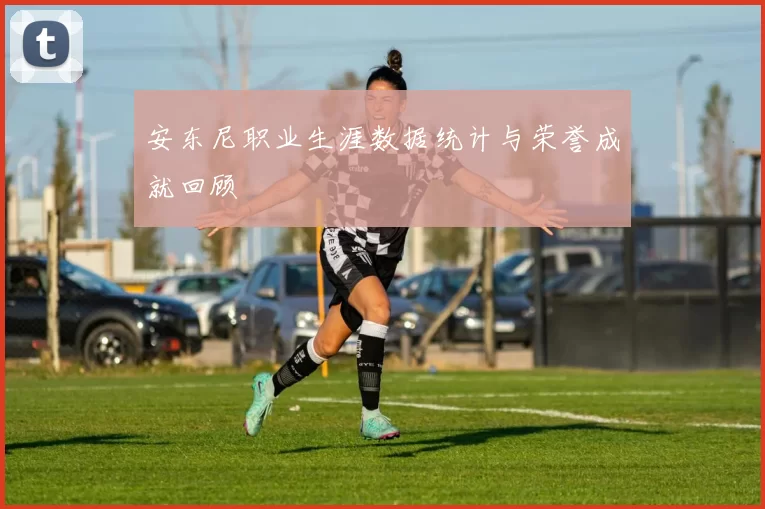 安东尼职业生涯数据统计与荣誉成就回顾