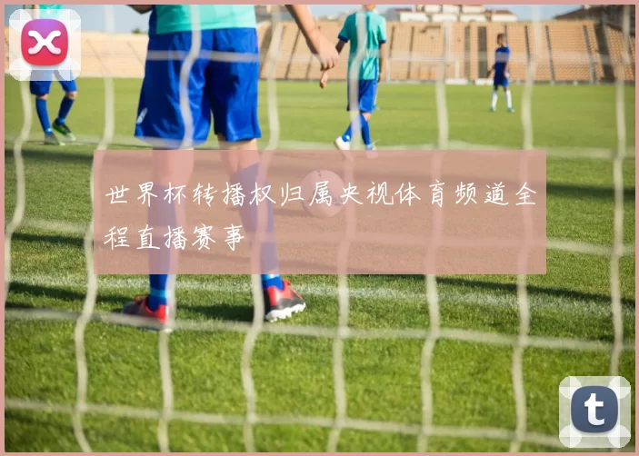 世界杯转播权归属央视体育频道全程直播赛事
