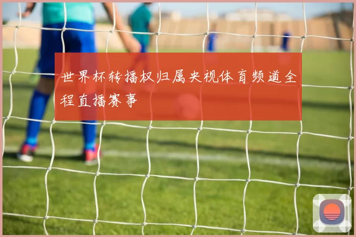 世界杯转播权归属央视体育频道全程直播赛事